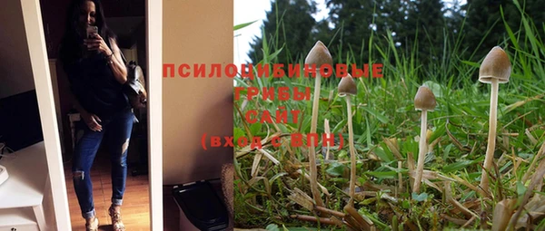 гашишное масло Мегион