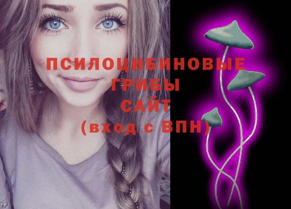 дмт Медногорск